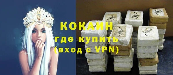 стаф Абаза