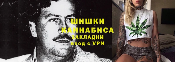 ПСИЛОЦИБИНОВЫЕ ГРИБЫ Алексеевка